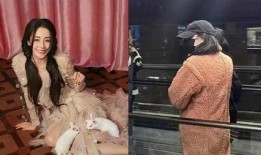 狗仔爆料怀孕最新,明星夫妇喜得贵子，甜蜜孕期曝光